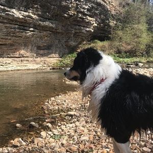 Meet your Posher, Noah